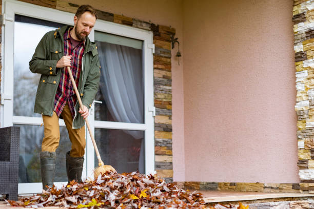 Best Electronics Removal Services  in Mammoth, AZ