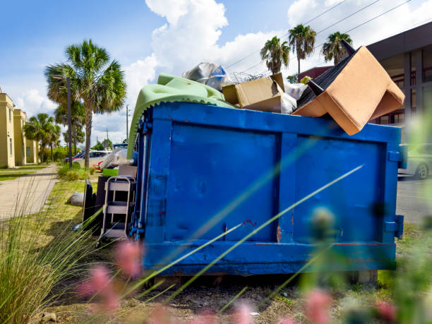 Best Office Junk Removal  in Mammoth, AZ